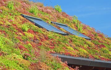Button Haugh Green living roof systems