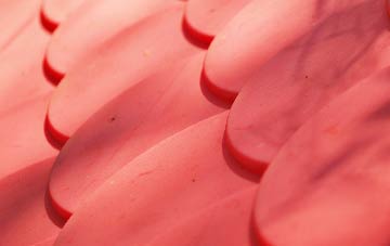 Button Haugh Green plastic roof costs