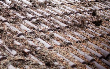 Button Haugh Green roof cleaning companies