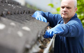 cleaning and inspecting Button Haugh Green roofs