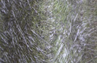 Button Haugh Green fibreglass roof work