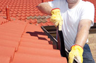 Button Haugh Green roof cleaners