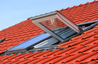 Button Haugh Green roof window